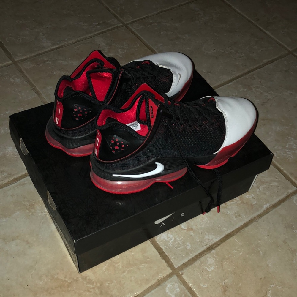 Lebron 19 low